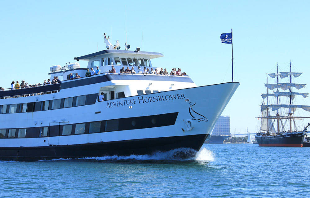 hornblower yacht rental